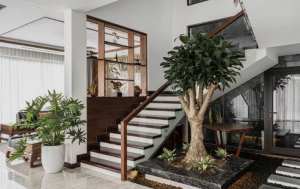 Chọn cây xanh phù hợp